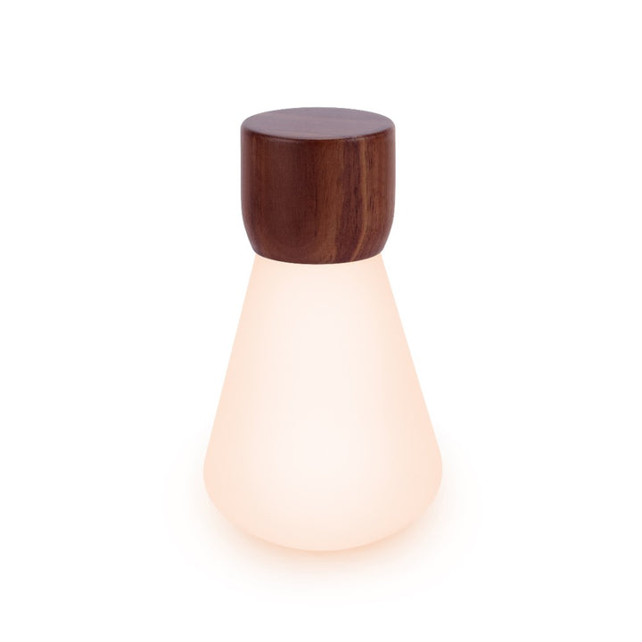 Gingko Pentagon Desk Bulb, Mini